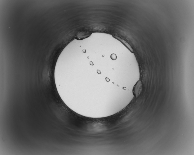 X0000088680643200706281943