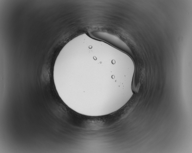 X0000088680644200706281943