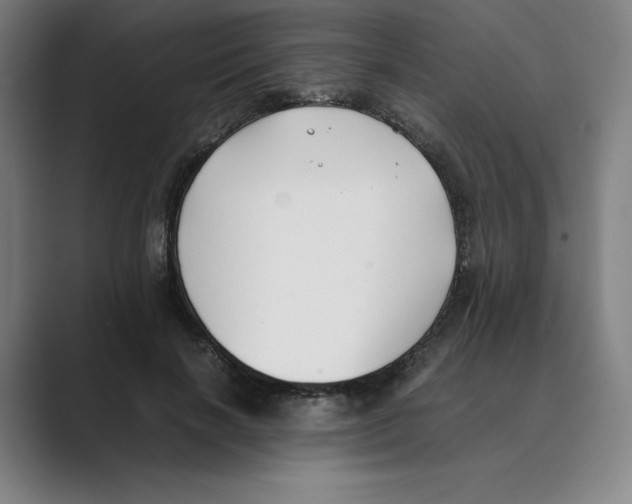 X0000088680646200706281943