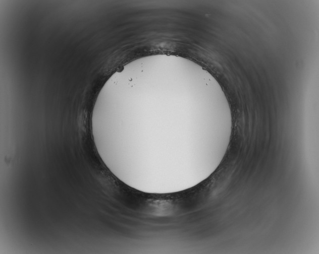 X0000088680649200706281943