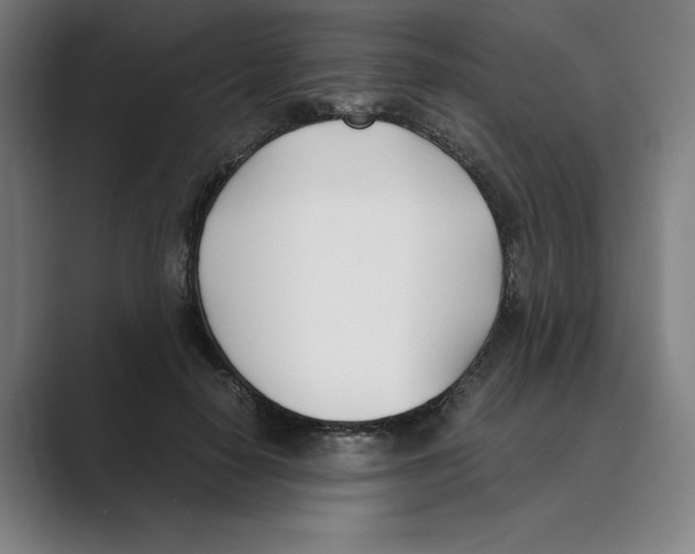 X0000088680650200706281943