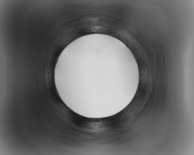 X0000088680653200706281943