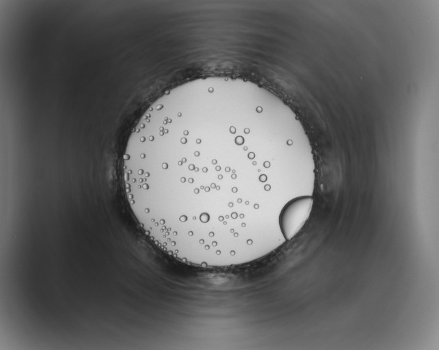 X0000088680654200706281943