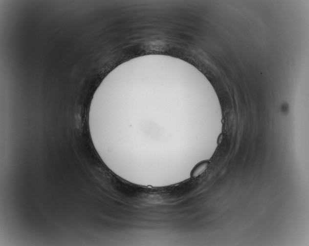 X0000088680655200706281943