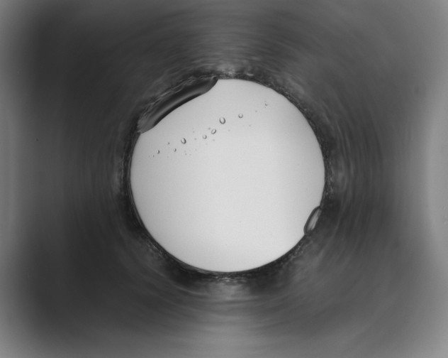 X0000088680656200706281943