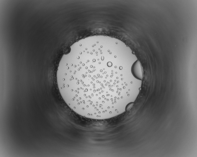 X0000088680659200706281943