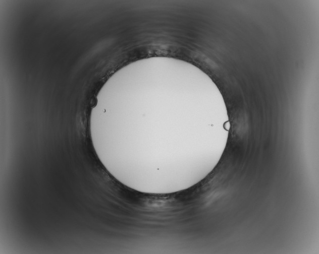 X0000088680661200706281943