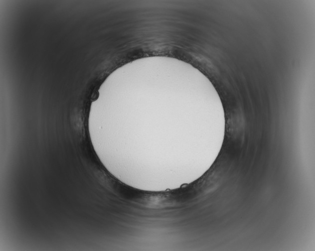 X0000088680662200706281943