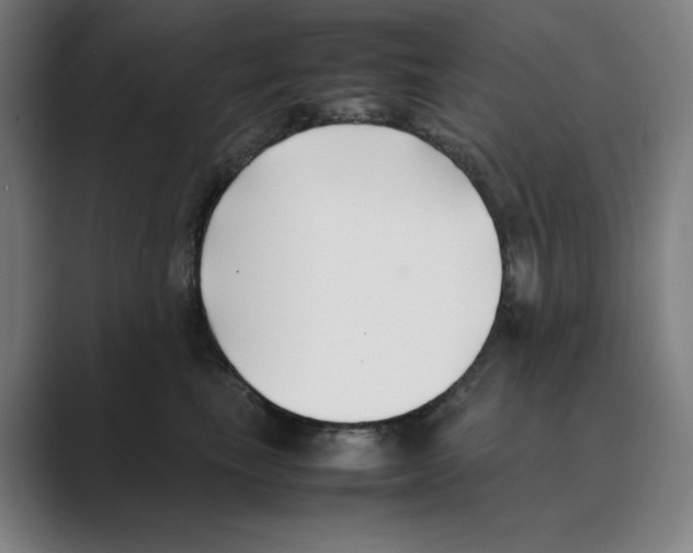 X0000088680665200706281943