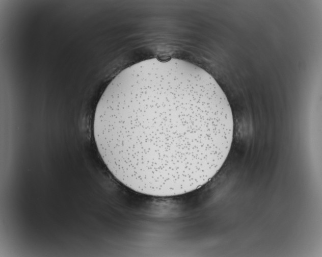 X0000088680666200706281943