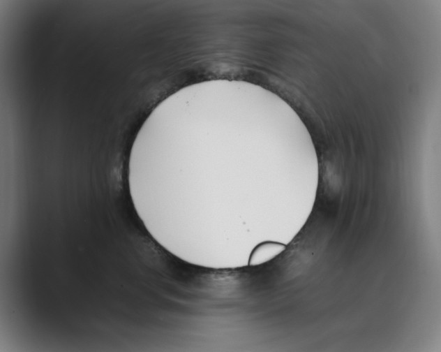 X0000088680668200706281943