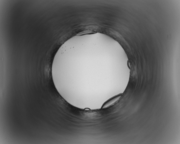 X0000088680669200706281943