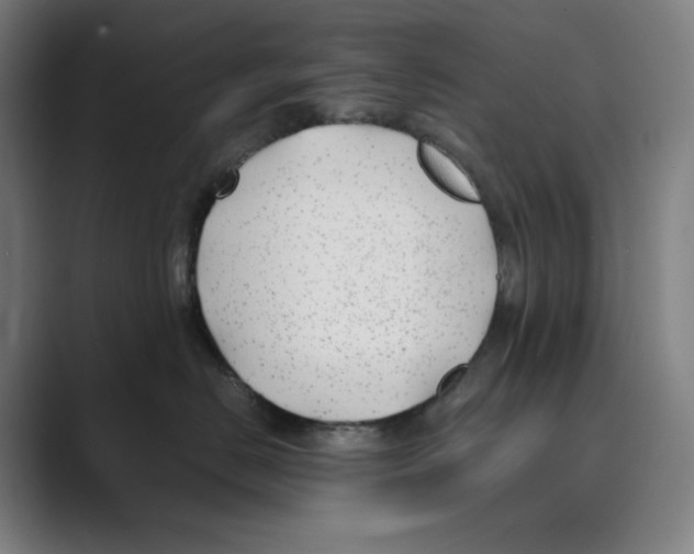 X0000088680670200706281943