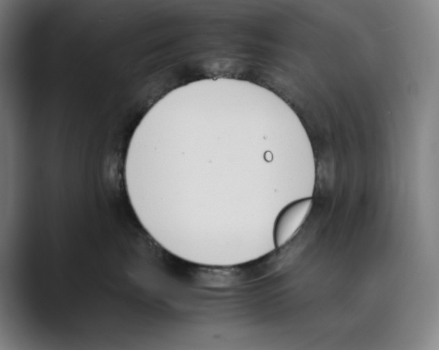 X0000088680671200706281943