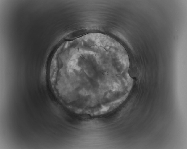 X0000088680674200706281943