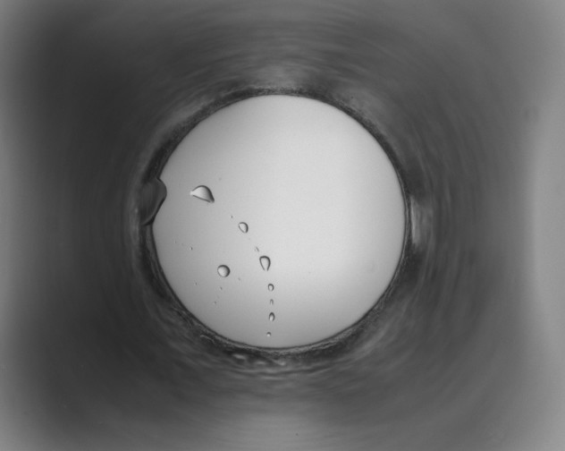 X0000088680675200706281943