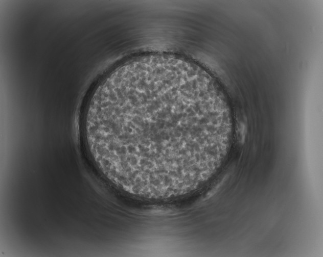 X0000088680678200706281943