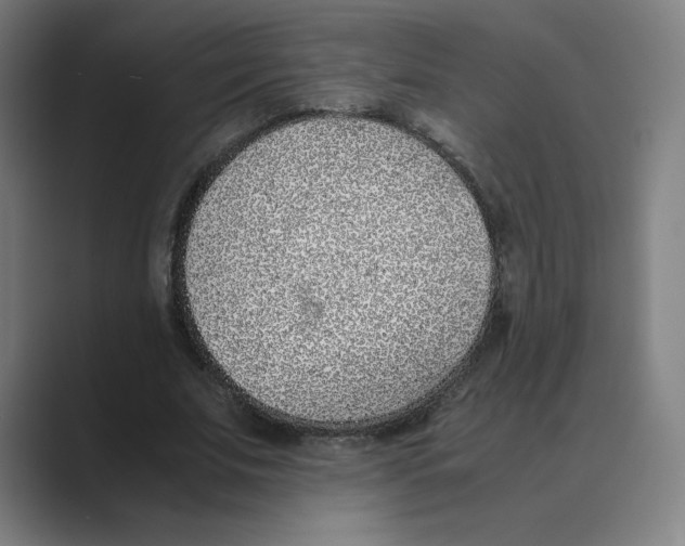 X0000088680679200706281943