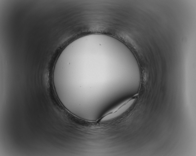 X0000088680684200706281943