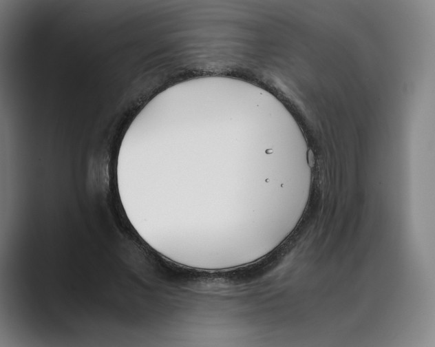 X0000088680685200706281943