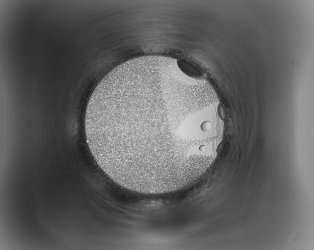 X0000088680687200706281943