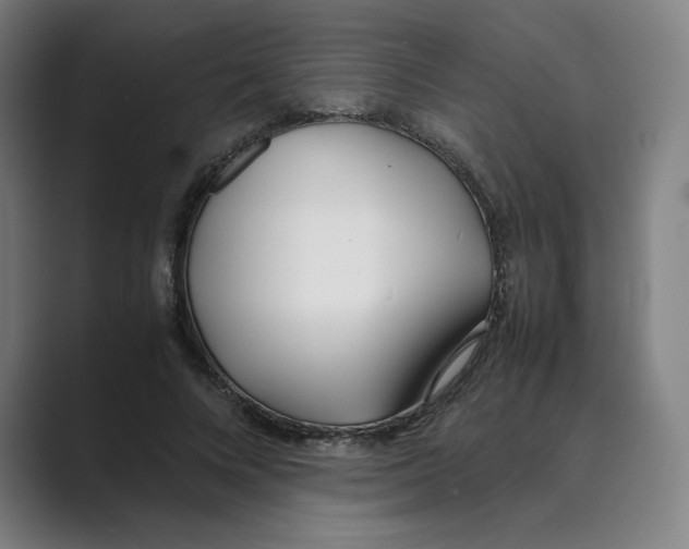 X0000088680688200706281943