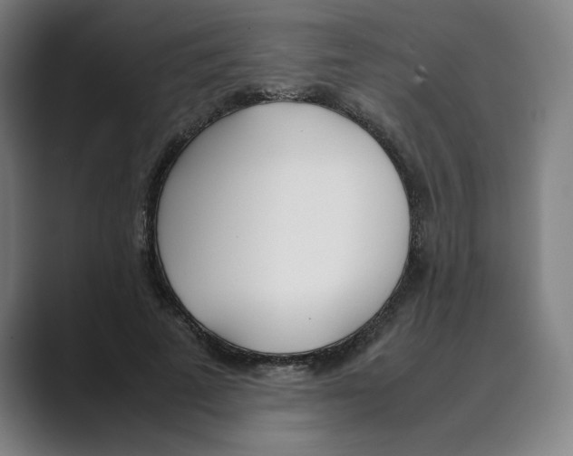 X0000088680689200706281943