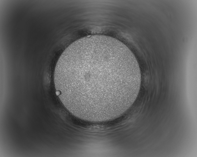 X0000088680691200706281943