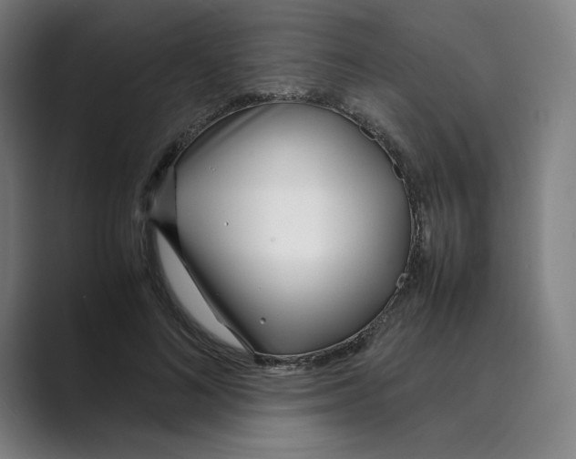 X0000088680692200706281943