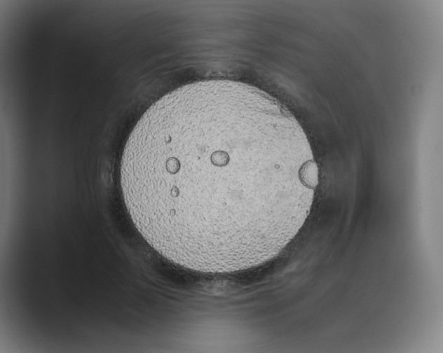 X0000088680695200706281943