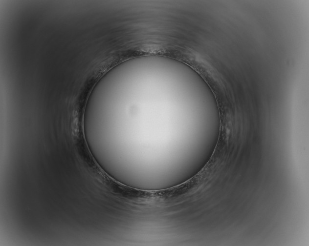 X0000088680696200706281943