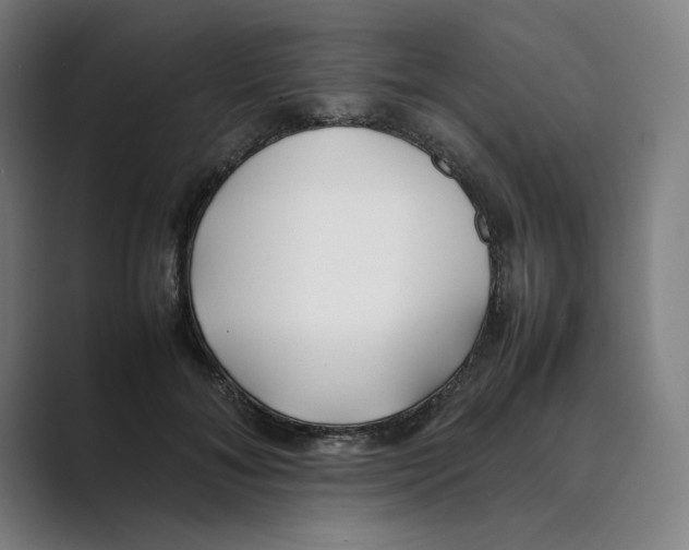 X0000088680700200706281942