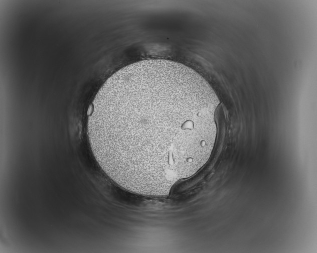 X0000088680703200706281942