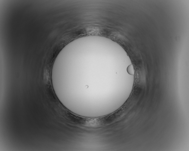 X0000088680705200706281942