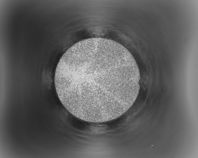 X0000088680707200706281942