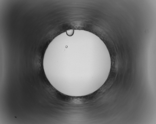 X0000088680710200706281942