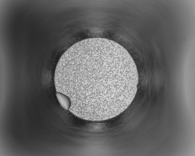 X0000088680711200706281942