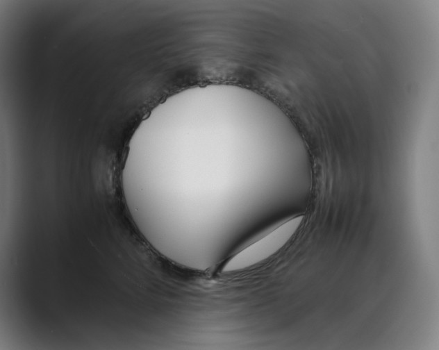 X0000088680712200706281942