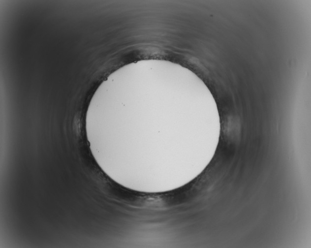 X0000088680715200706281942