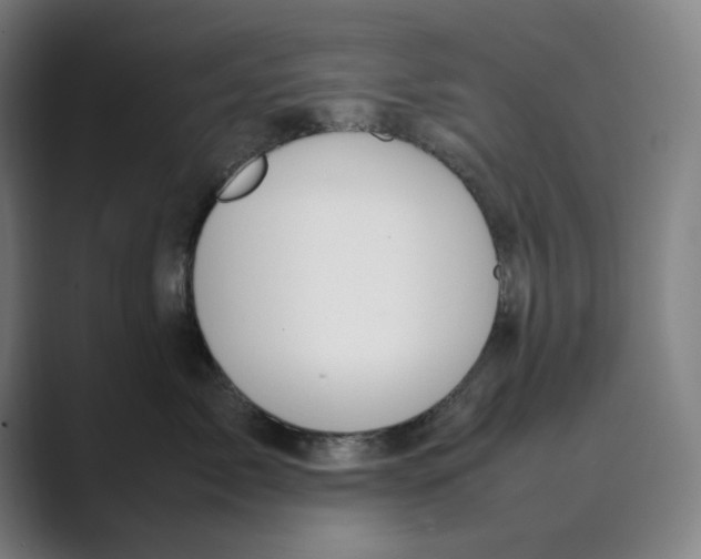 X0000088680717200706281942