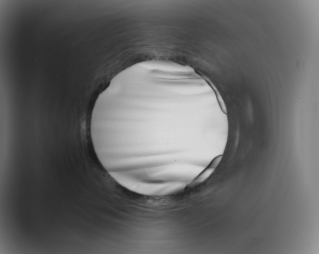 X0000088680720200706281942