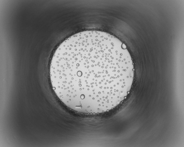 X0000088680721200706281941