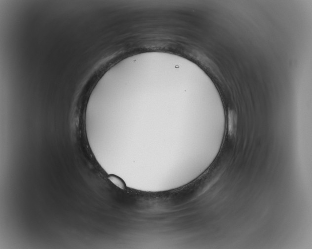 X0000088680723200706281941