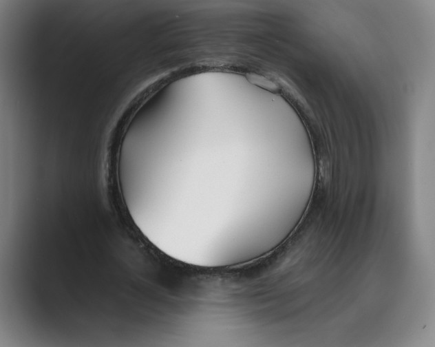 X0000088680724200706281941