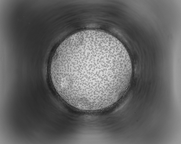 X0000088680725200706281941