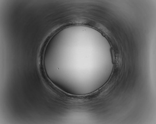 X0000088680726200706281941