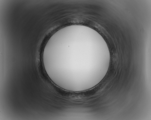 X0000088680727200706281941