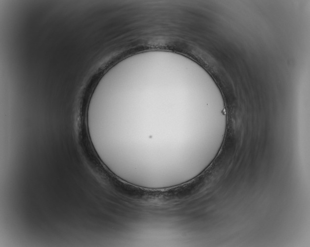 X0000088680728200706281942