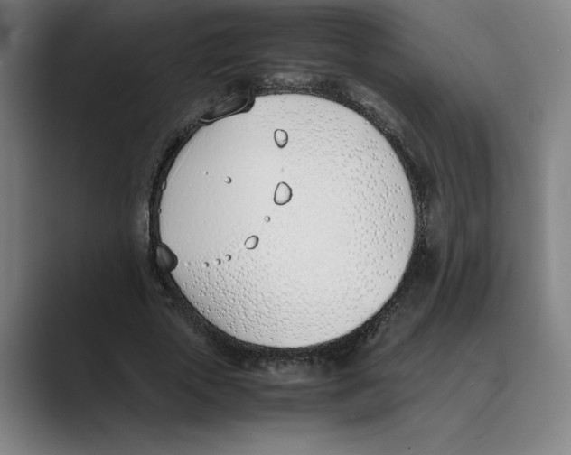 X0000088680729200706281942