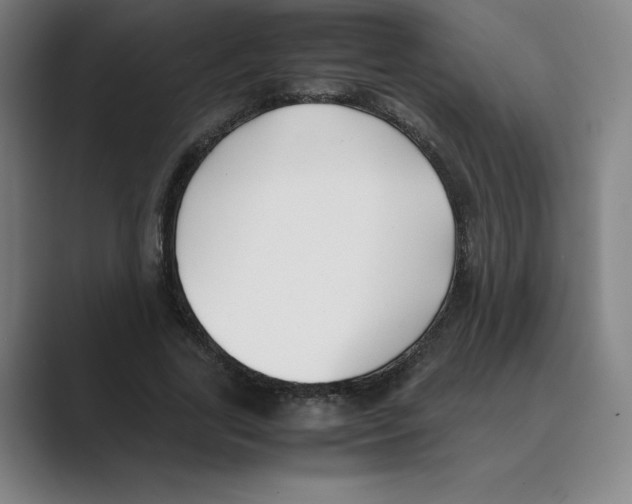 X0000088680731200706281942